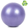 Bola de Exercícios de Yoga Ecológica - 25cm