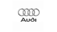 Suporte de montagem para Audi