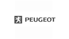 Suporte de montagem para Peugeot