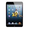 Diagnóstico iPad Mini 3