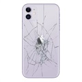 Reparação da capa traseira do iPhone 11 - só vidro - Púrpura