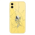 Reparação da capa traseira do iPhone 11 - só vidro - Amarelo