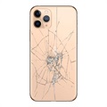 Reparação da capa traseira do iPhone 11 Pro - só vidro - Dourado