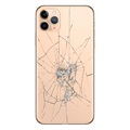 Reparação da capa traseira do iPhone 11 Pro Max - só vidro - Dourado
