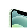 iPhone 12 - 64GB - Verde