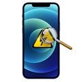 Diagnóstico de iPhone 12