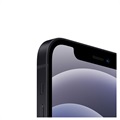 iPhone 12 Mini - 64GB (Usado - Bom estado) - Preto
