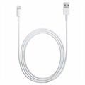Cabo Lightning / USB Apple MQUE2ZM/A para iPhone, iPad, iPod - Branco - 1m